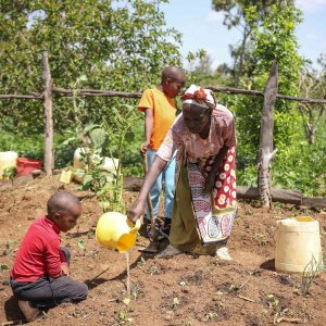 Die Kenianerin Faith der Arbeit auf einem Feld.