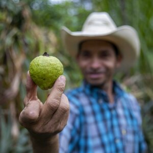 Ein guatemaltekischer Kleinbauer hält eine Frucht in die Höhe, die durch nachhaltige Landwirtschaft erzeugt wurde