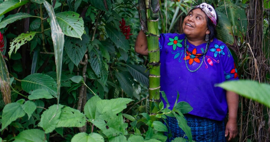 Eine Guatemaltekin steht und schaut auf den Ertrag in den Bäumen
