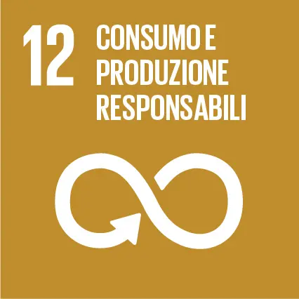 SDG Icon IT RGB 12