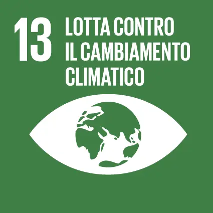SDG Icon IT RGB 13