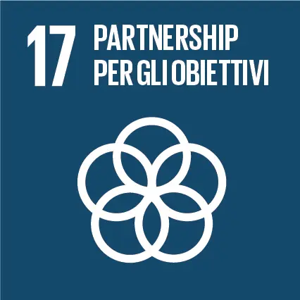 SDG Icon IT RGB 17