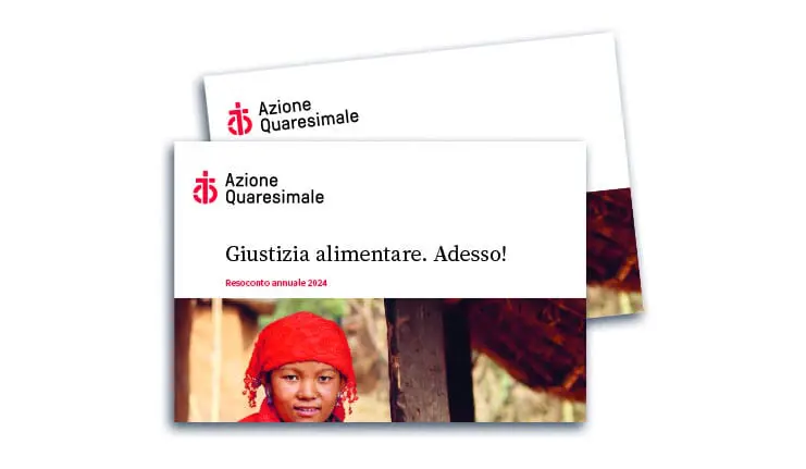 FAS Geschaeftsbericht 2024