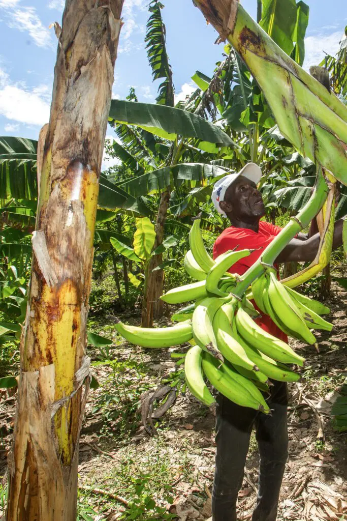 Etienne WHT Landingpage Slider 2