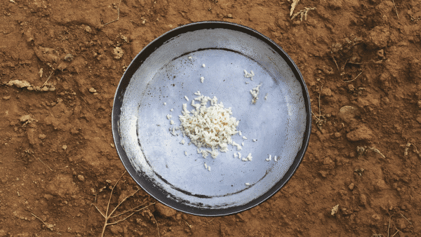 Giornata mondiale dell’alimentazione