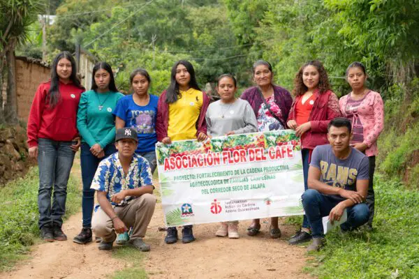 Imparare dai propri errori 