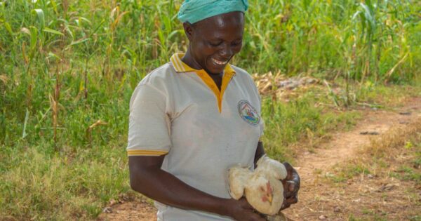 Un suolo più fertile