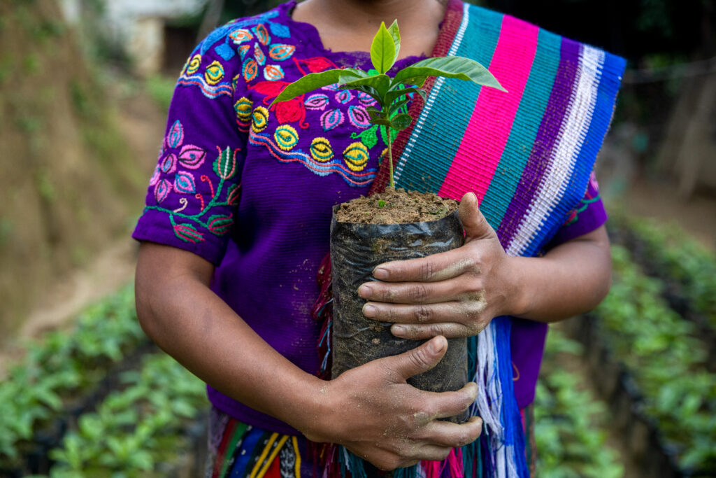 Ziele_Guatemala_LP
