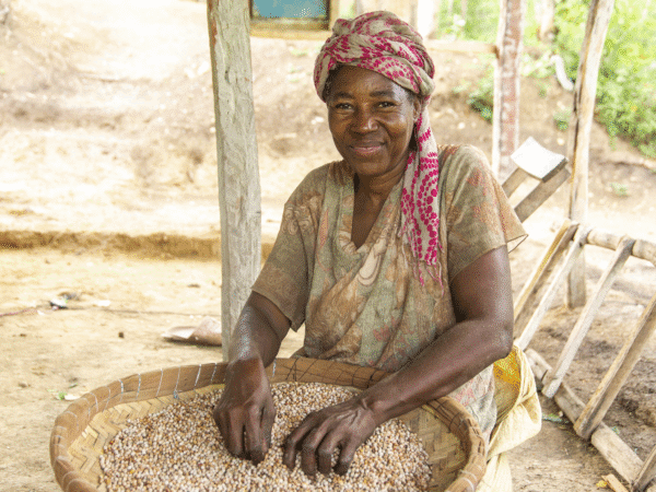 Progressi incoraggianti