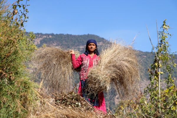 I Paesi asiatici particolarmente colpiti